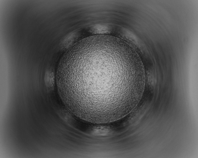 X0000096700549200802191450
