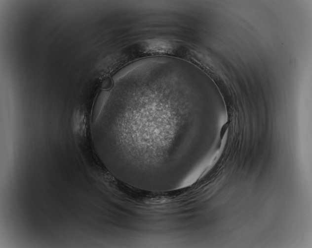X0000096700551200802191450