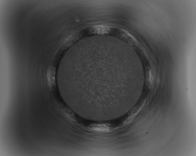 X0000096700553200802191450