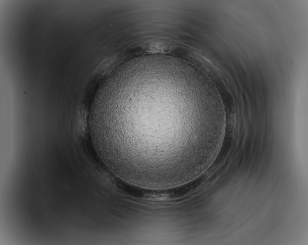 X0000096700554200802191450