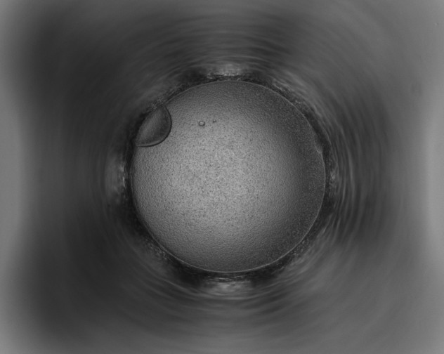 X0000096700555200802191450