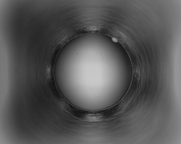 X0000096700556200802191450
