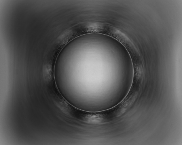 X0000096700557200802191450