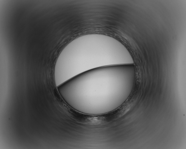 X0000096700558200802191450