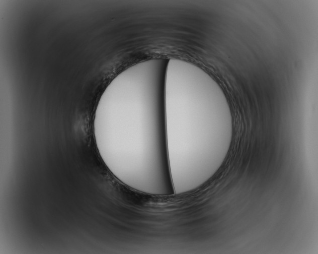X0000096700559200802191450