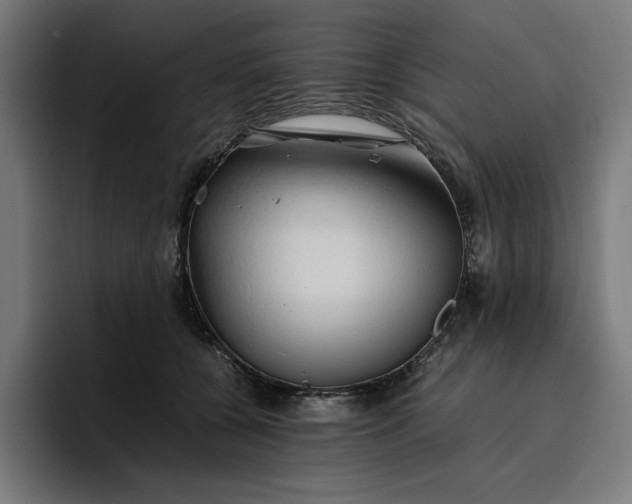 X0000096700560200802191450