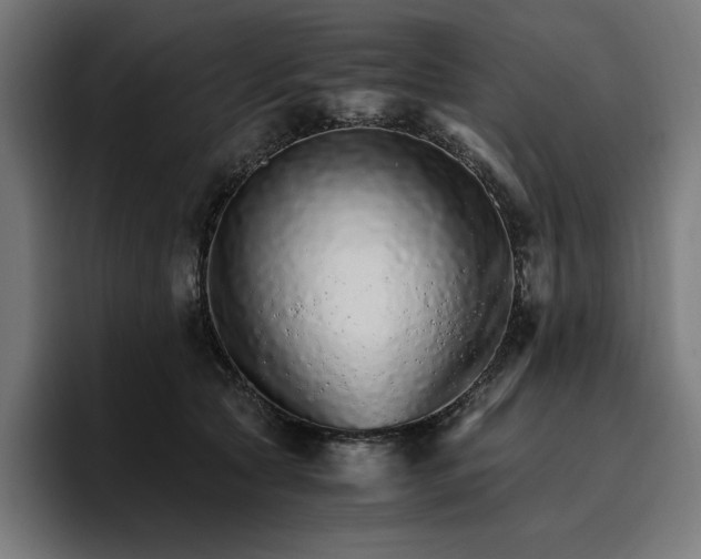 X0000096700561200802191450