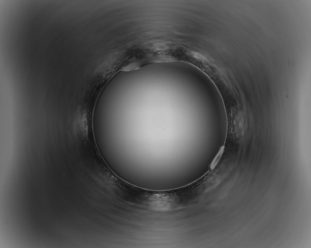 X0000096700562200802191450