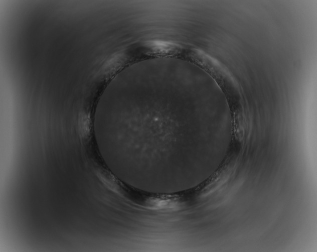X0000096700563200802191450