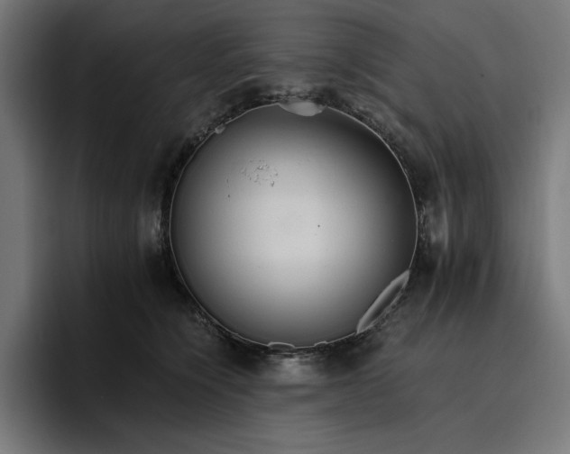X0000096700564200802191450
