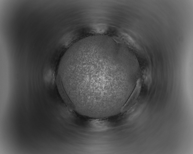 X0000096700568200802191450