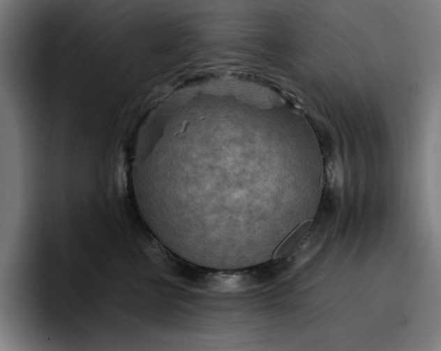 X0000096700570200802191450
