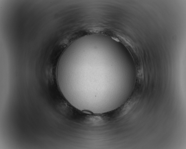 X0000096700572200802191450
