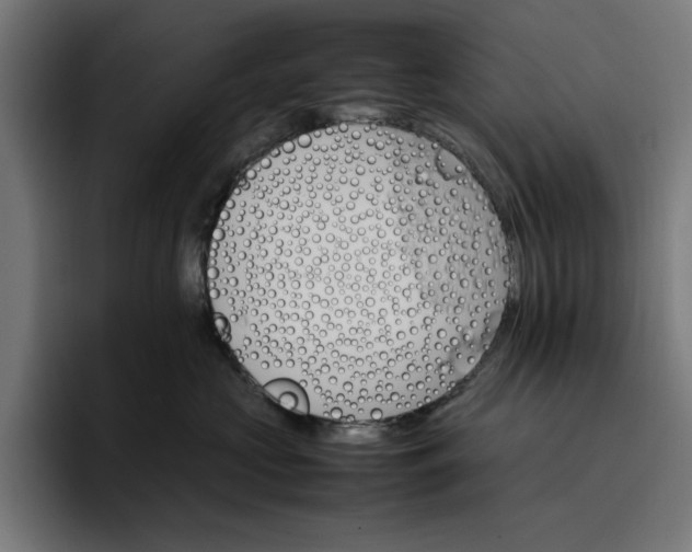 X0000096700573200802191450