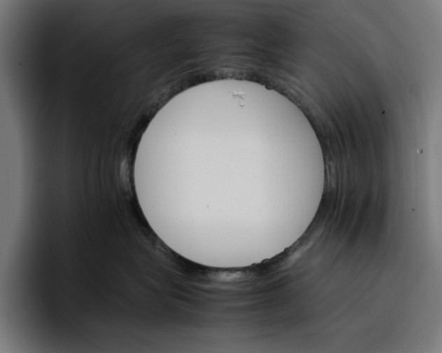 X0000096700575200802191450