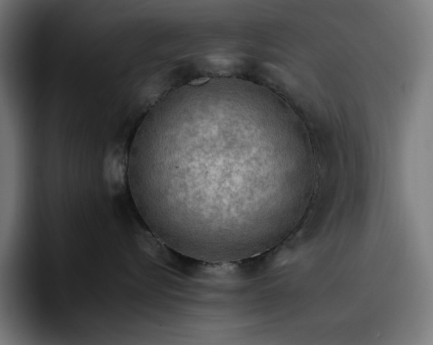 X0000096700576200802191450