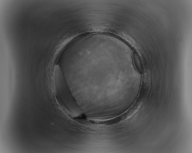 X0000096700577200802191450