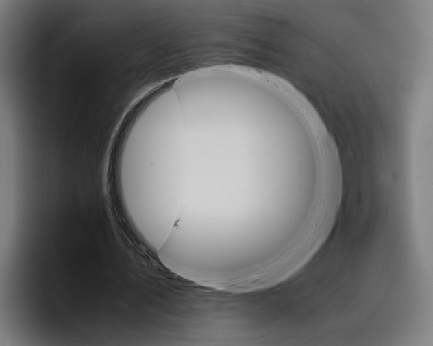 X0000096700579200802191450
