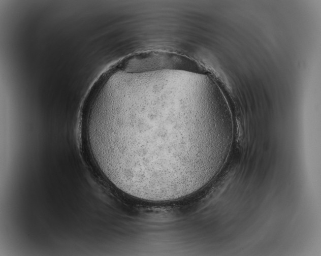 X0000096700580200802191450