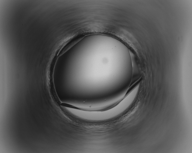 X0000096700581200802191450