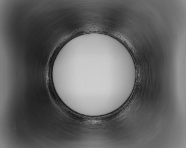 X0000096700582200802191450