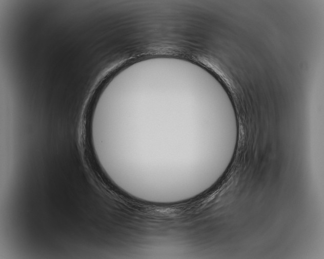 X0000096700583200802191450