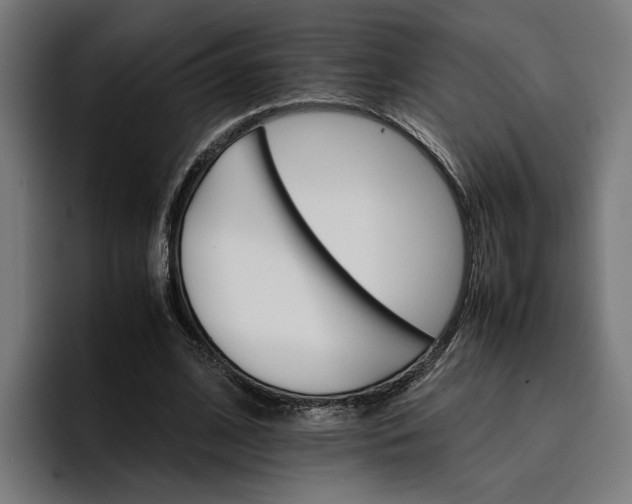 X0000096700584200802191450