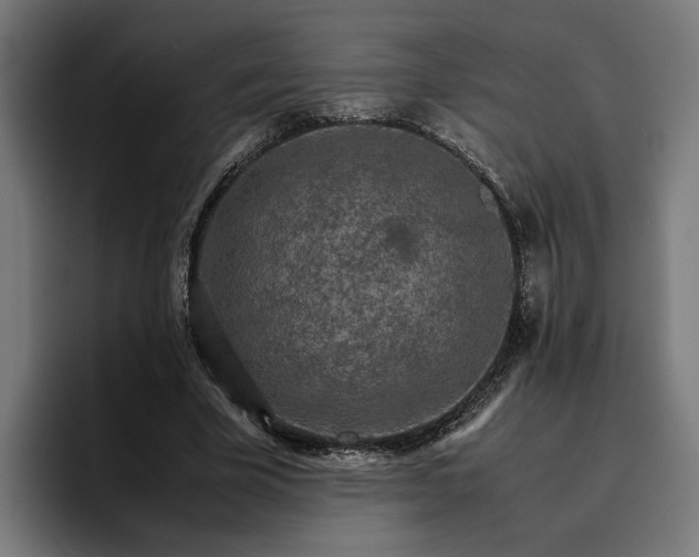 X0000096700585200802191450