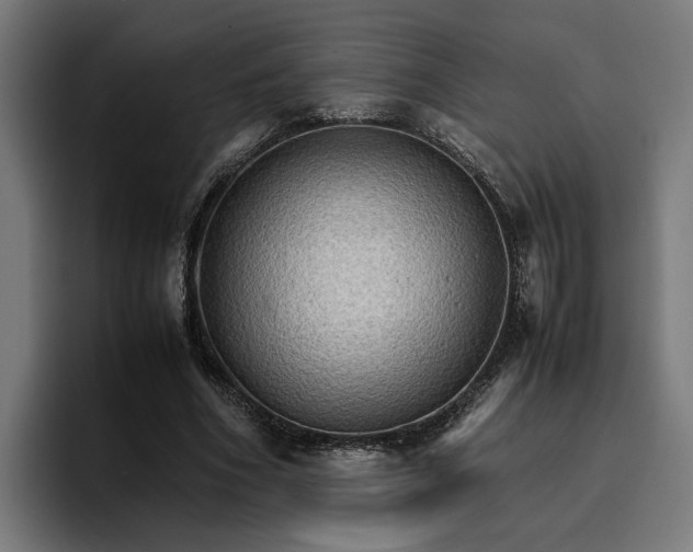 X0000096700586200802191450