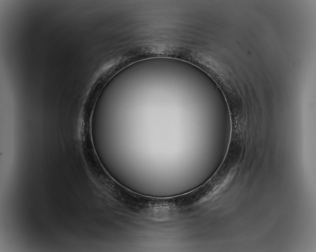 X0000096700587200802191450
