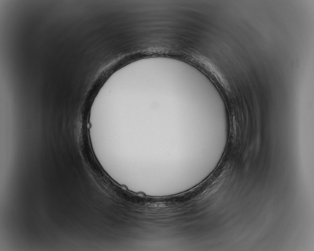 X0000096700588200802191450
