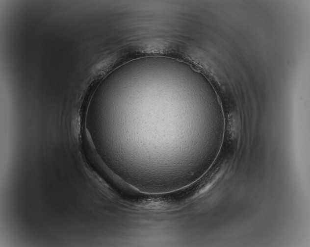 X0000096700589200802191450