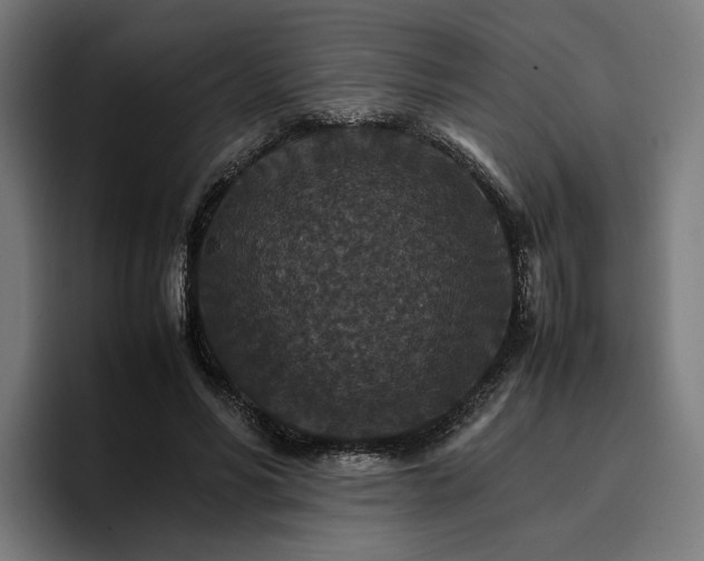 X0000096700590200802191450