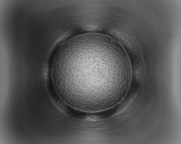X0000096700591200802191450