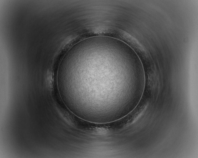 X0000096700592200802191450