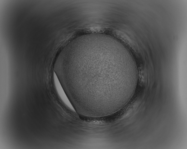 X0000096700593200802191450