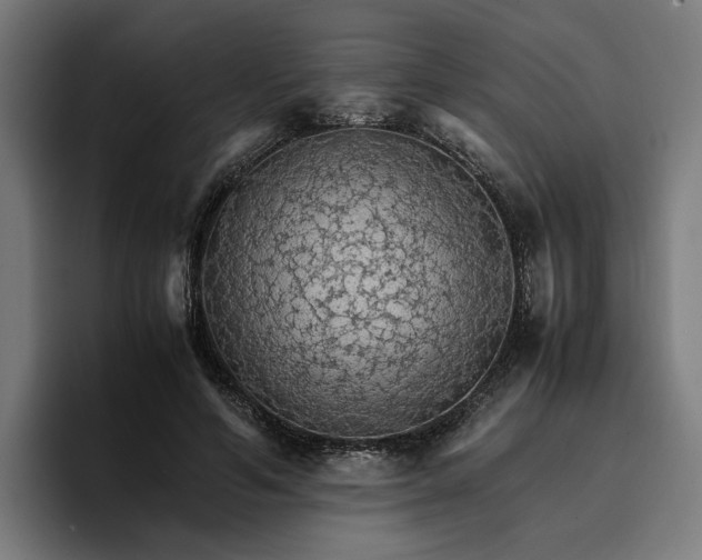 X0000096700594200802191450