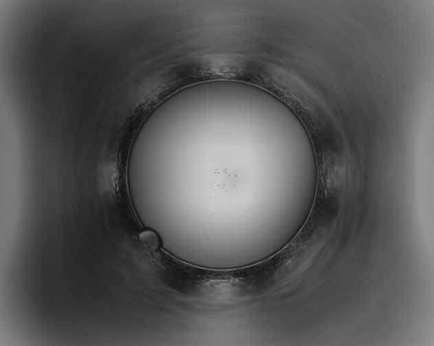 X0000096700595200802191450