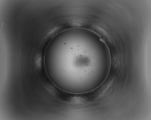 X0000096700596200802191450