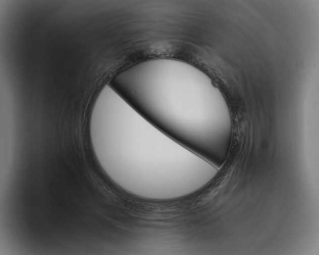 X0000096700597200802191450