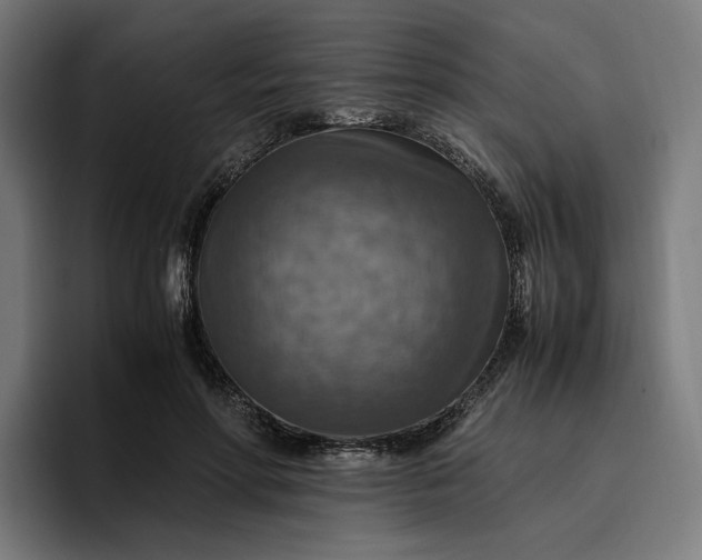 X0000096700598200802191450