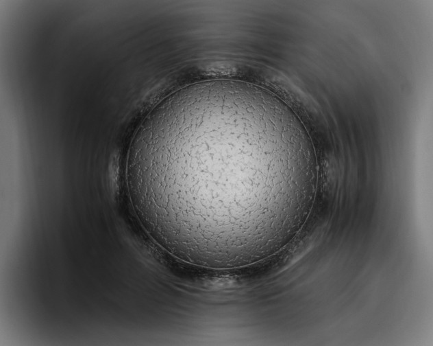 X0000096700600200802191450
