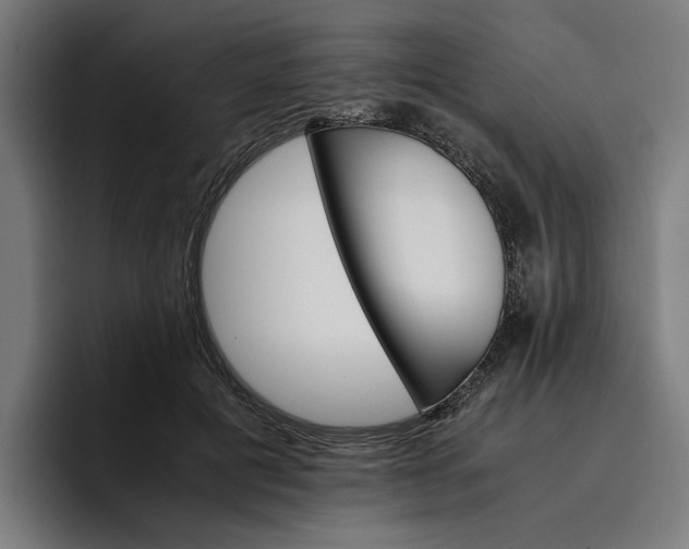 X0000096700601200802191450