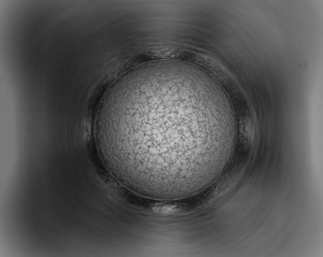 X0000096700602200802191450