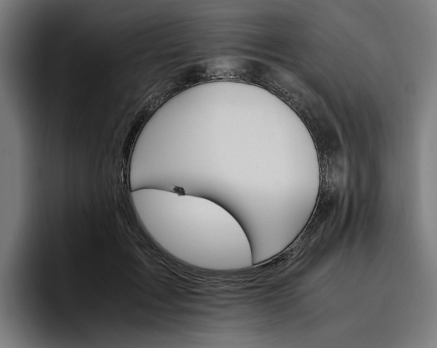 X0000096700603200802191450