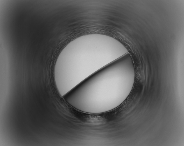 X0000096700605200802191450