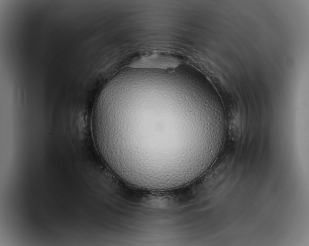 X0000096700608200802191449