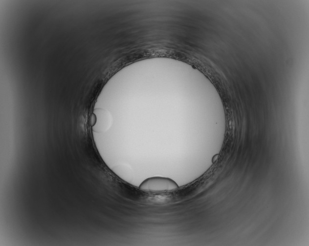 X0000096700610200802191449