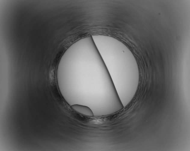 X0000096700611200802191449