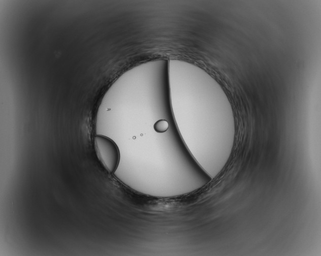 X0000096700612200802191449